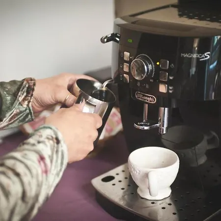 فندق مبيت وإفطار I Bottai بيزا